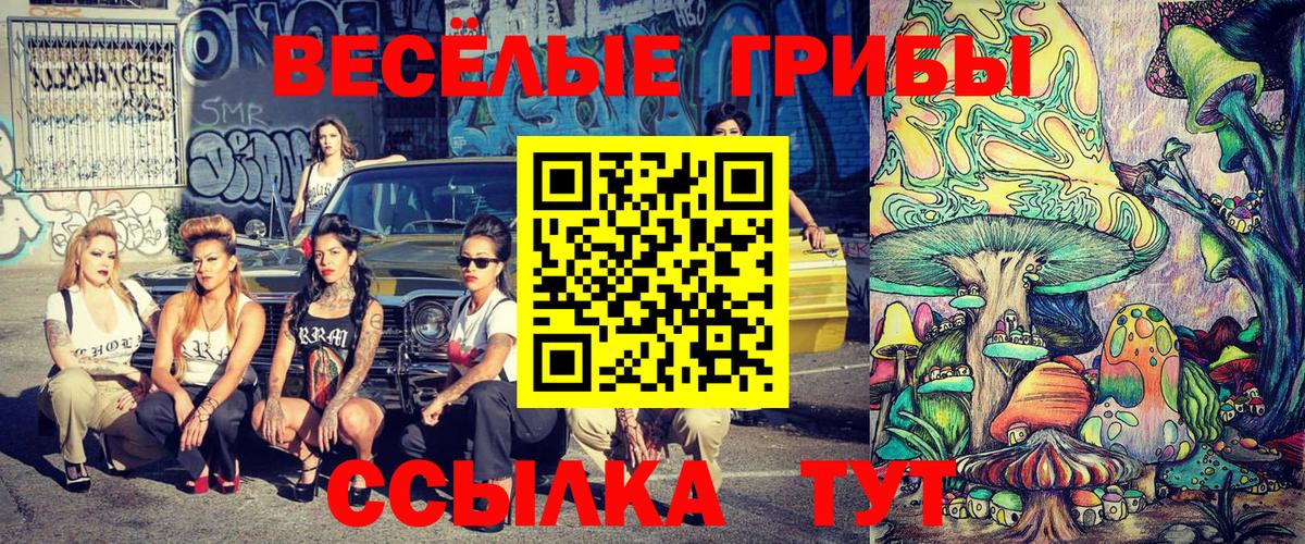 Псилоцибиновые грибы MAGIC MUSHROOMS  где купить наркоту  Богородицк  Галлюциногенные грибы мухоморы  Вход с VPN 